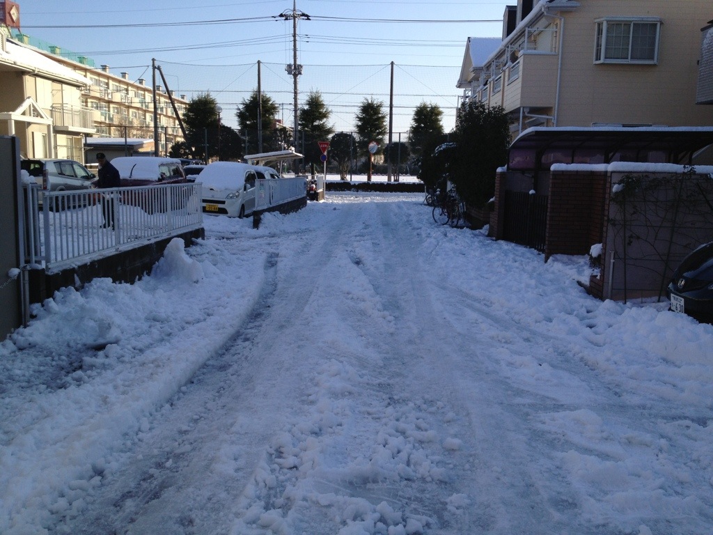 20130115-123913.jpg