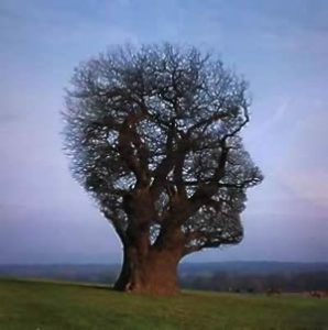 creative_thinking